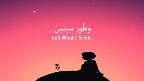 سورة التين حالات واتساب هزاع البلوشي