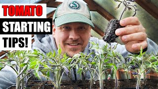 8 Tomato Seed Starting Tips For 2024 by The Ripe Tomato Farms 72,166 views 1 month ago 14 minutes, 2 seconds
