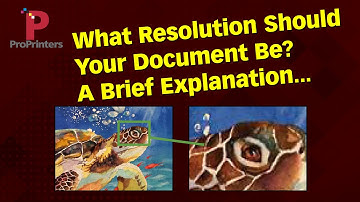 How Many Pixels Are Needed? Resolution, Raster, and Vector; A Brief Explanation