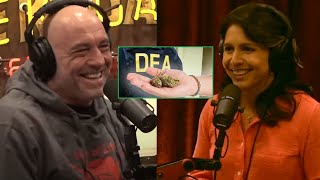 Joe Rogan & Tulsi Gabbard | Rogan "Congrats to the marijuana smokers!" #jre #joerogan #podcast