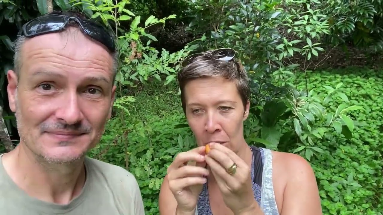 Madruno / Lemon drop mangoustan