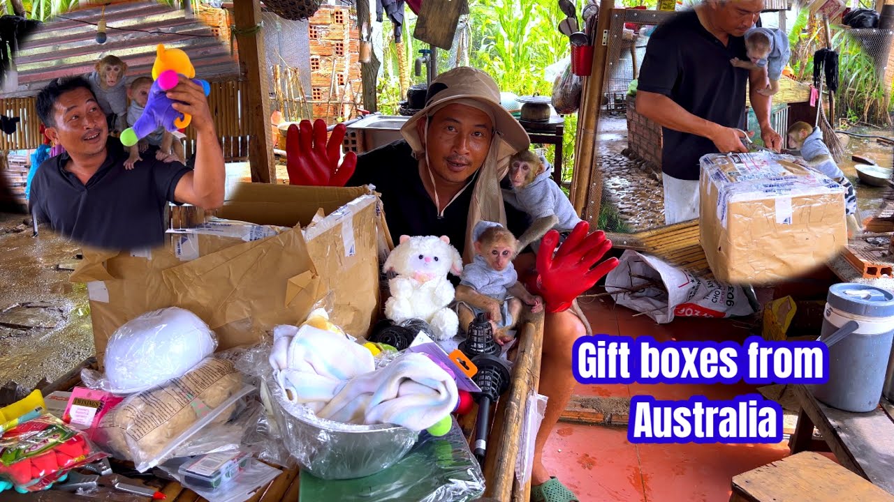 A pouring rainy day - Sơn and BiBi received a gift box from Australia.