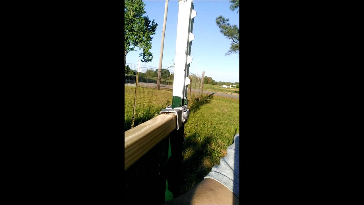 Muscadine trellis part 1 YouTube