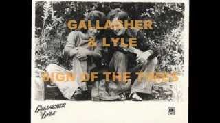 GALLAGHER &amp; LYLE  - SIGN OF THE TIMES ( VINYL 1980 ) ( ORIG SONG RELEASE 1976 )