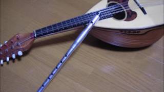 Down By The Salley Gardens【Tin Whistle & Mandolin Duo】サリーガーデン（アイルランド民謡） chords