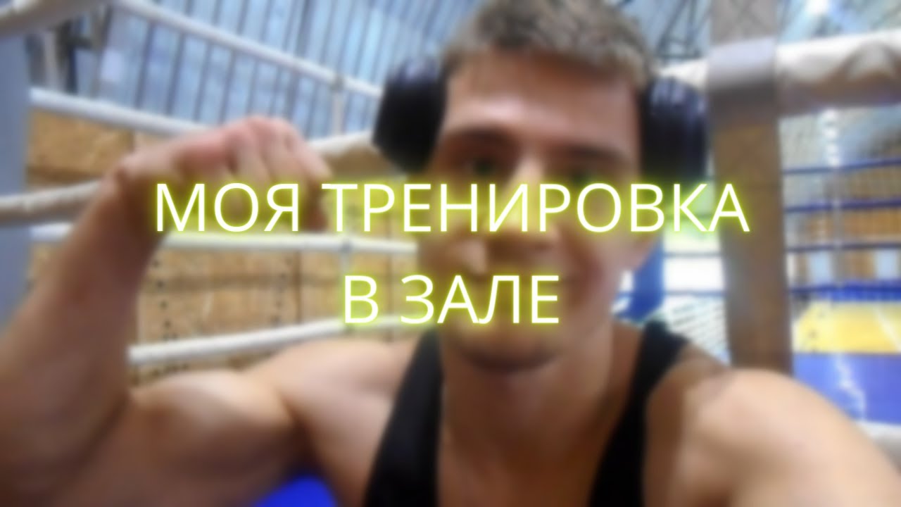 ���������� �������� Vermodje ���������: ����.