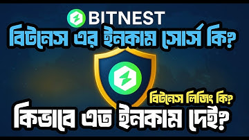 বিটনেস এর ইনকাম সোর্স কি? বিটনেস কিভাবে আমাদের ইনকাম দেই। Bitnest লিজিং কি? প্যানকেক লিকুয়িডিটি কি?