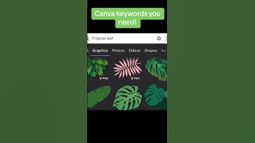 How to use Canva Keywords for your next DIY project.