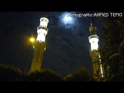 حالات واتس انا عشقى ليك عشق القمر