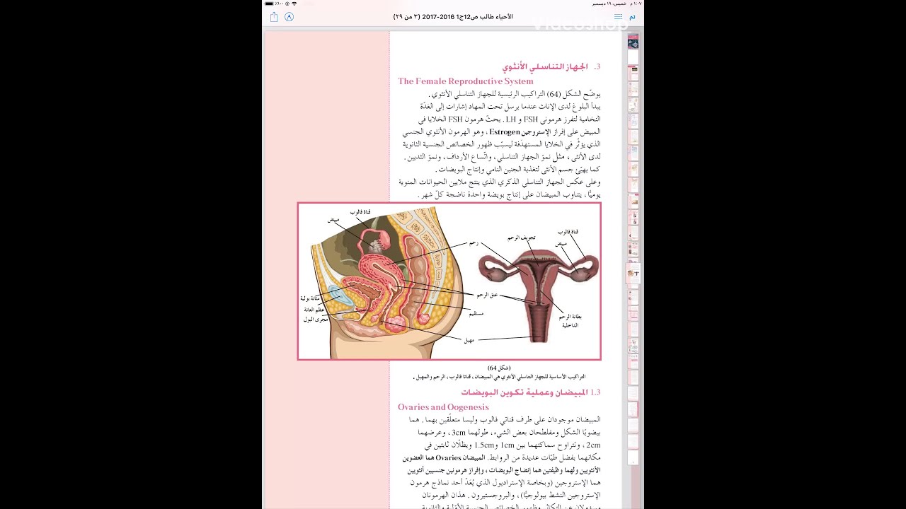 الجهاز التناسلي الانثوي