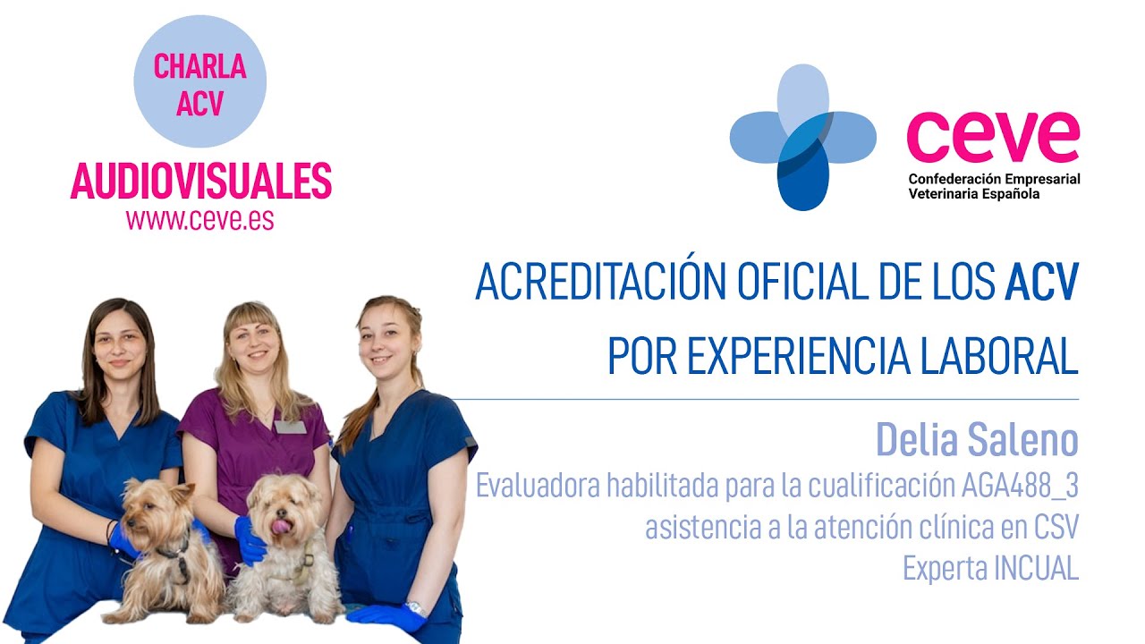 Cuanto cuesta una consulta veterinaria en españa