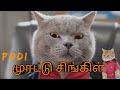 Animals funny mind voice 22 sothanaigal  tamil  simple world