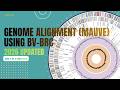 Genome Alignment (Mauve) using BV-BRC platform