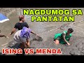 Nagdumog sa pantatan  ising versus menda