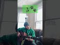 dog learns guitar #dog #cute #shorts