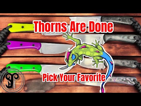 Last Look At the Thorns EDC Fixie