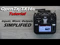 OpenTx Companion Tutorial • Inputs Mixes and Outputs Explained • Radiomaster TX16s • [Beginners]