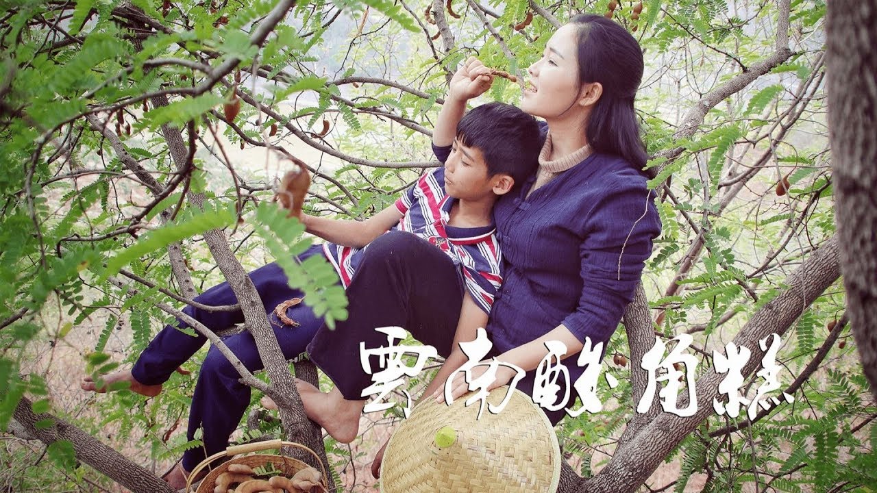 爬树摘了一些酸角，做弟弟爱吃的酸角糕！【滇西小哥】