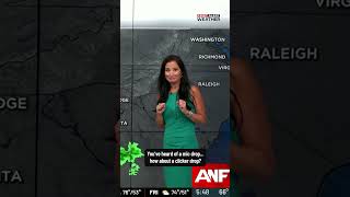 The show must go on: Jennifer Valdez drops clicker mid-forecast