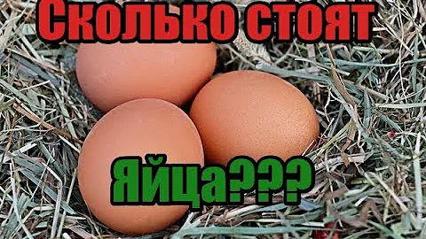 Сколько стоит яйцо! Как обманывают фермеров! Почем продают домашнее или деревенское яйцо!