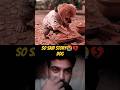 The Poor Puppy 😢 Who Changed Everyone’s Heart 💔 | Must Watch" #shorts #shortsfeed  #poor #puppy #ai