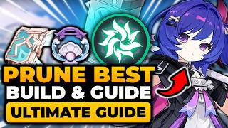 Prune Build 66 Ultimate Guide Best Team Weapons Artifact Rotation Tips Etc  Prune Guide