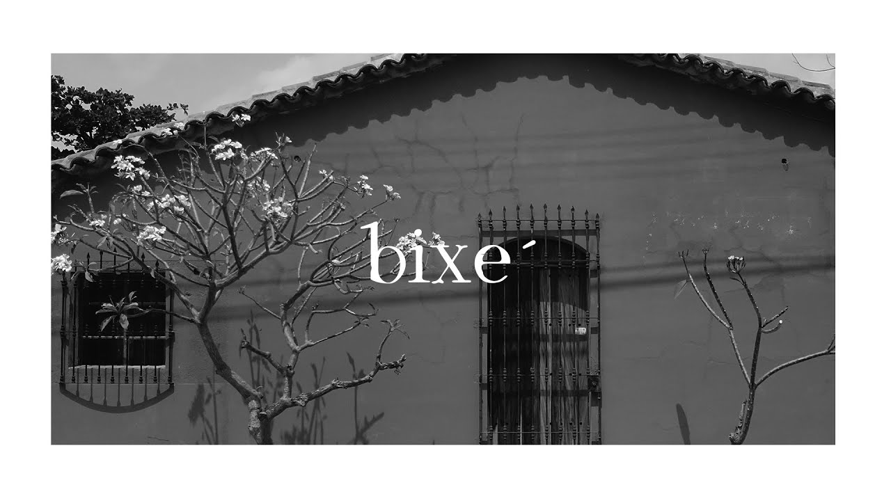 BIXE´| Conversación con una curandera Zapoteca.