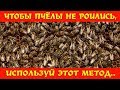 Чтобы пчёлы не роились, используй этот метод!