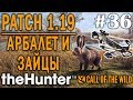 theHunter call of the wild #36 🔫 - Патч 1.19 - Охота Из Арбалета - Охота На Зайцев - Новое Оружие!