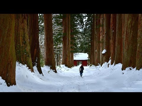 雪の戸隠神社奥社に 4k Youtube