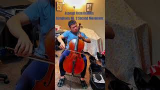 Excerpt From Brahms Symphony No. 2 Second Movement