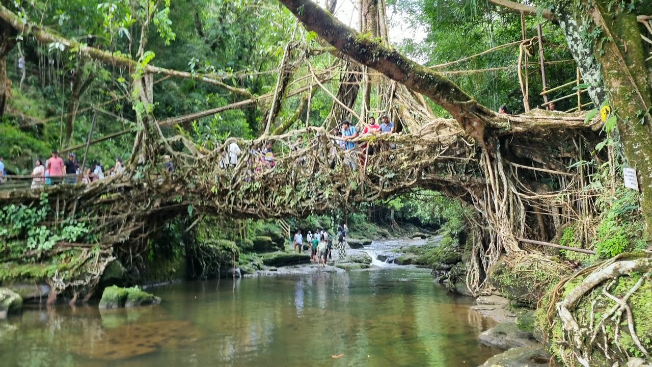 #Living_roots_bridge & Cleanest village of Asia tour Megalaya