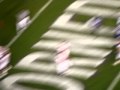Utah Utes Touchdown vs #4 TCU