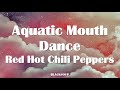Red hot chili peppers  aquatic mouth dance lyrics