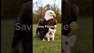 Ranking Pibble Sora Ai clips #dog #save #ranking #ai #funnyvideos #viralshorts