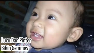Kumpulan Video Bayi Lucu Bikin Gemes