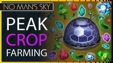 Peak Efficiency! Farming Crops in No Man
