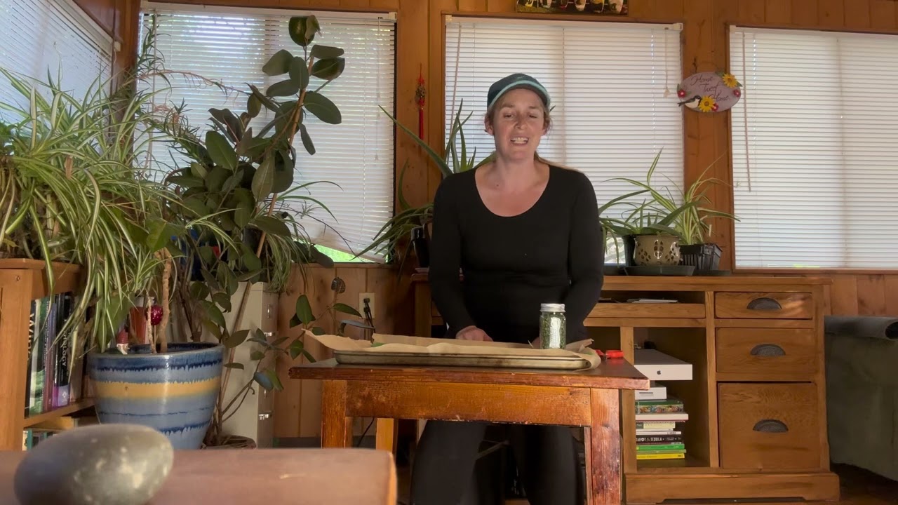 Drying And Preserving Fresh Chives