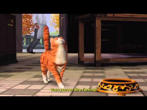 Être ou avoir un animal ... Telle est la question ! - Être ou avoir un animal ... Telle est la question !