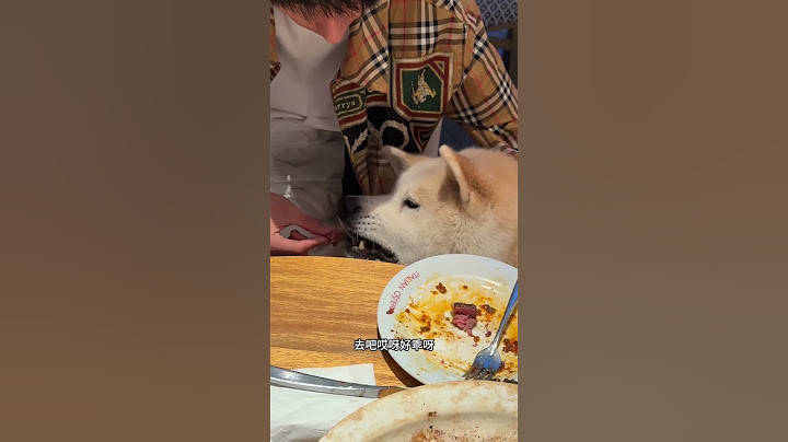 爸爸给哥哥喂肉肉，有个傲娇小孩就生闷气了 叮当看了一会爸爸一点没主动给他喂肉，直接藏在旁边桌子角落生闷气，怎么哄都不出来，最后给他吃小蛋糕才哄好，二胎家庭真不容易啊萌宠出道计划 馋嘴宝宝 狗狗的心