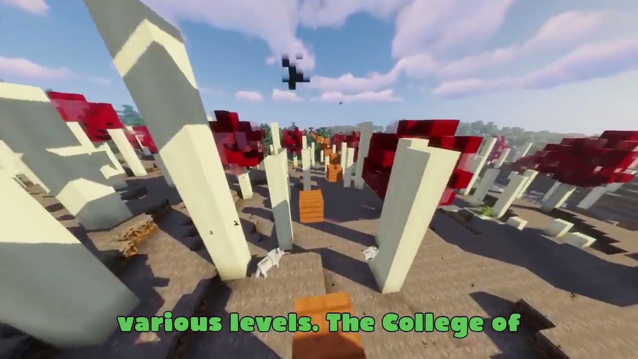 Brief Introduction to the Capital Palikir