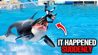 The Untold TRUTH About Seaworld's Killer Whale Accident