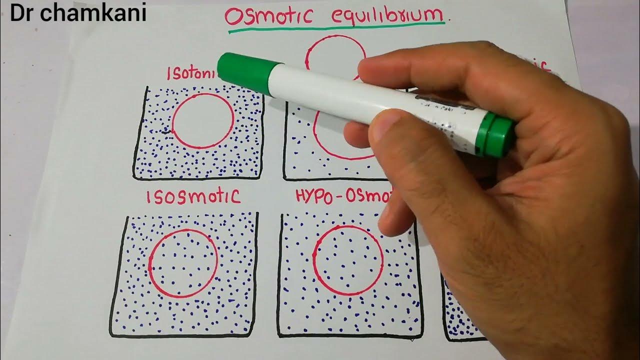 Renal physiology 16 Isosmotic vs Isotonic Hypotonic vs Hypoosmotic