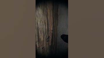 #phasmophobia #shorts phasmophobia custom difficulty is too fun!