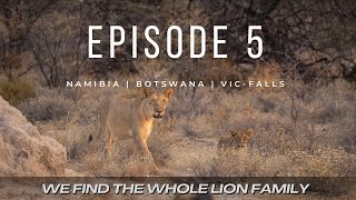 NAMIBIA - BOTSWANA - VIC-FALLS - 2025 | EP 05 | A NEW DAY IN ONGUMA WITH LION CUBS AND ALL THE MAGIC