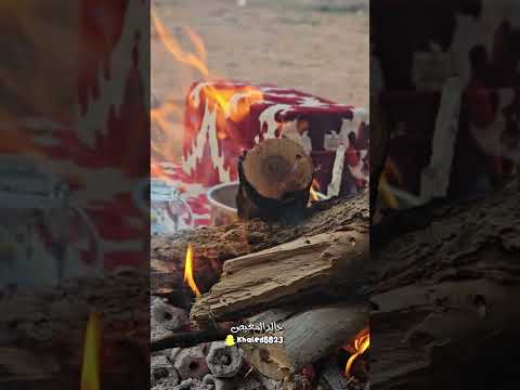 اشوف واسمع واجحد السمع والعين ١٤٤٦هـ