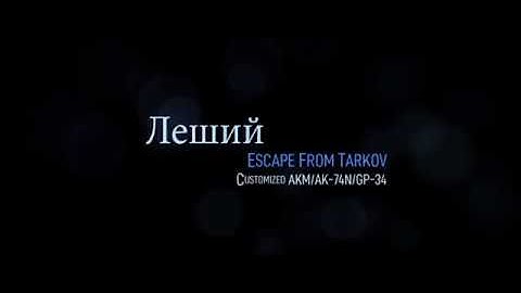 Insurgency Workshop Content : Леший