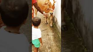 Jijo Playing With Hambba The Heart Monster