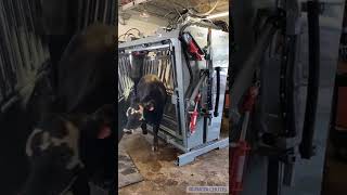 Hydraulic Side Exit On A Silencer Chute