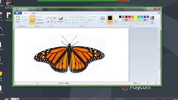 Polycom - RealPresence Desktop and RealPresence Mobile